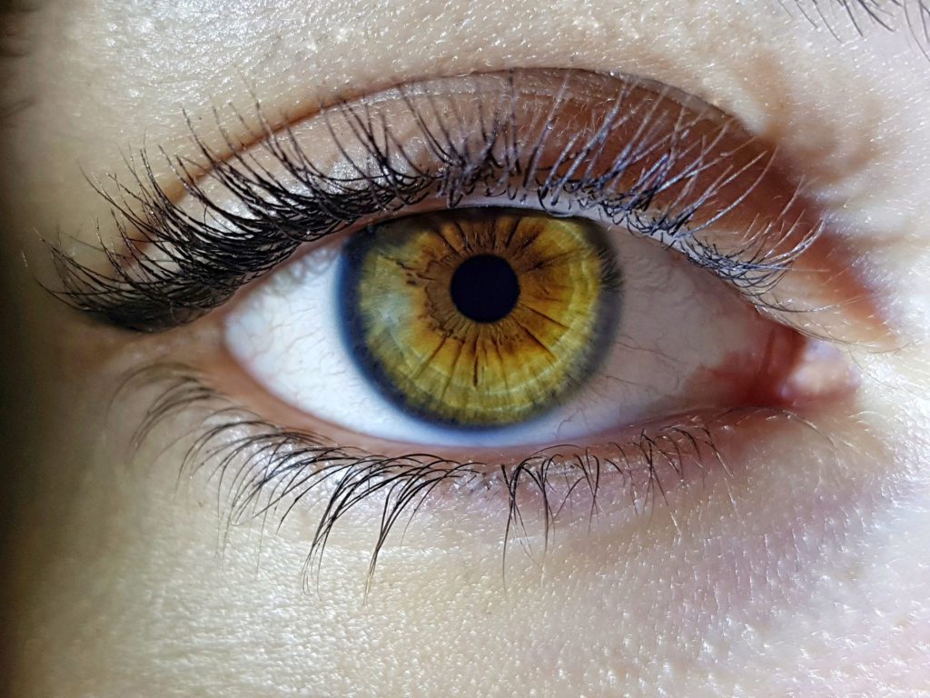 Oeil